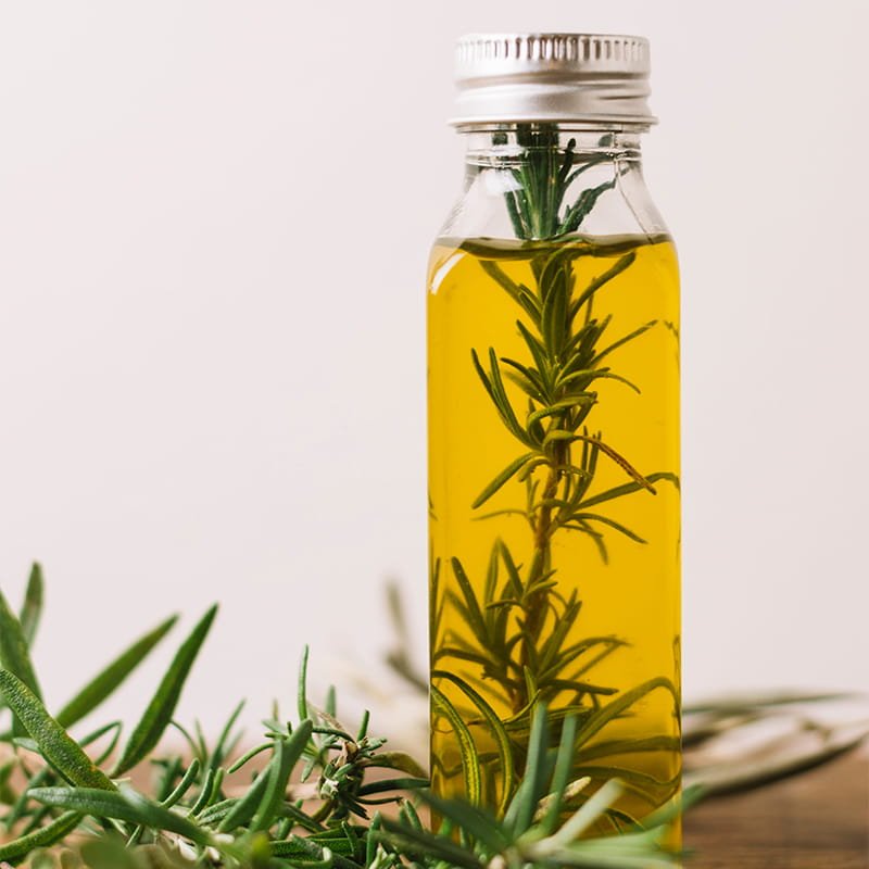 Rosemary Oil (Rosmarinus officinalis)